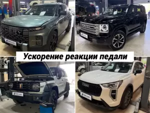 Фотография Евро Чип Тюнинг Воронеж 0