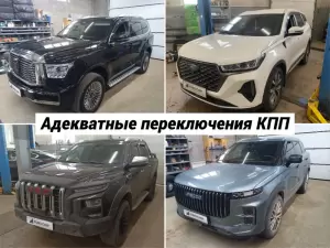 Фотография Евро Чип Тюнинг Воронеж 2